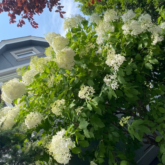 Meet your Posher, Miyuki - Picture 1 of 7